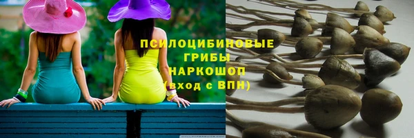 скорость Баксан