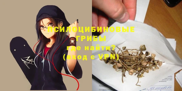 скорость Баксан